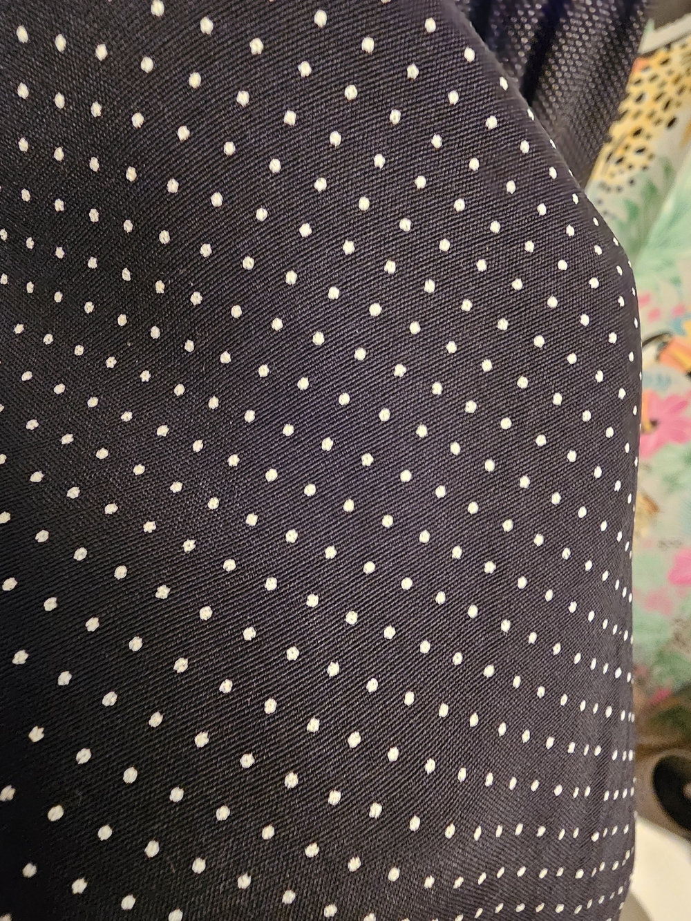 Vintage-Inspired Polka Dot Button-Front Dress with Lace Collar - Picture 10 of 11